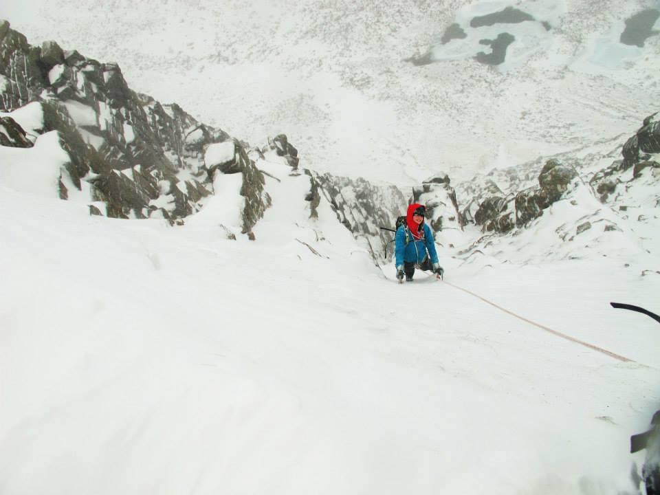 Cat on the last pitch of The Runnel (II)